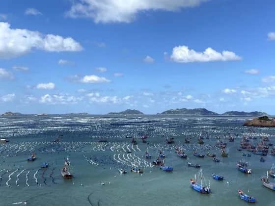 Fughe al mare da Shanghai: Guida alle migliori spiagge e isole